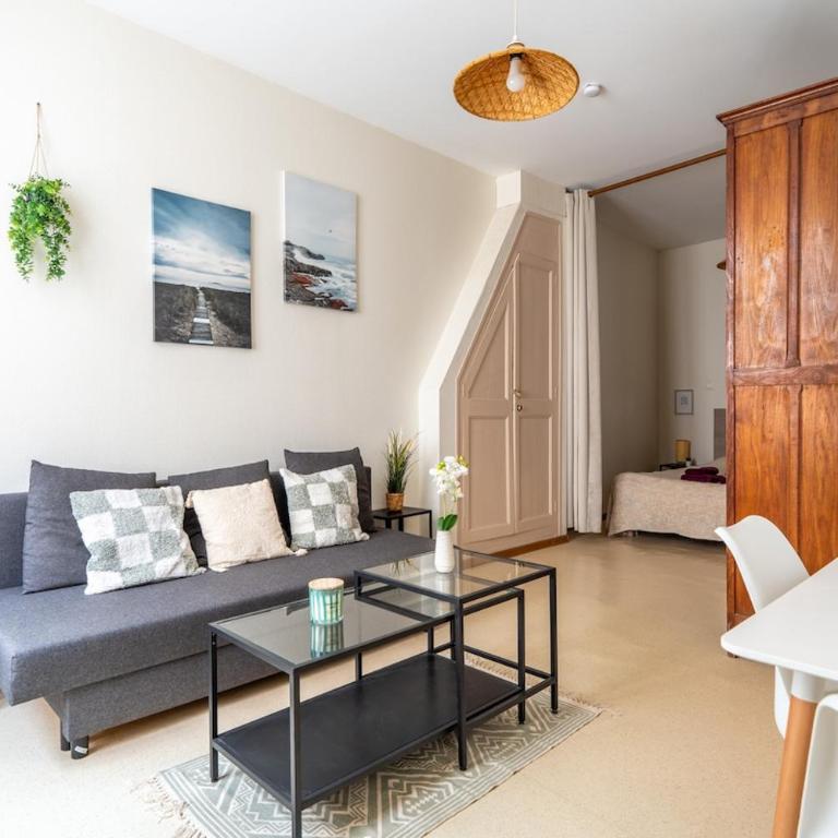 Bourgogne centre ville wifi bords de Loire - Appartamento con 1 Camera da Letto - 1