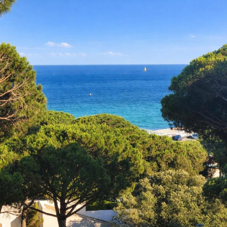 APPARTEMENT VUE MER 200 M DES PLAGES - DJUMBO - Appartement 1 Chambre - 2