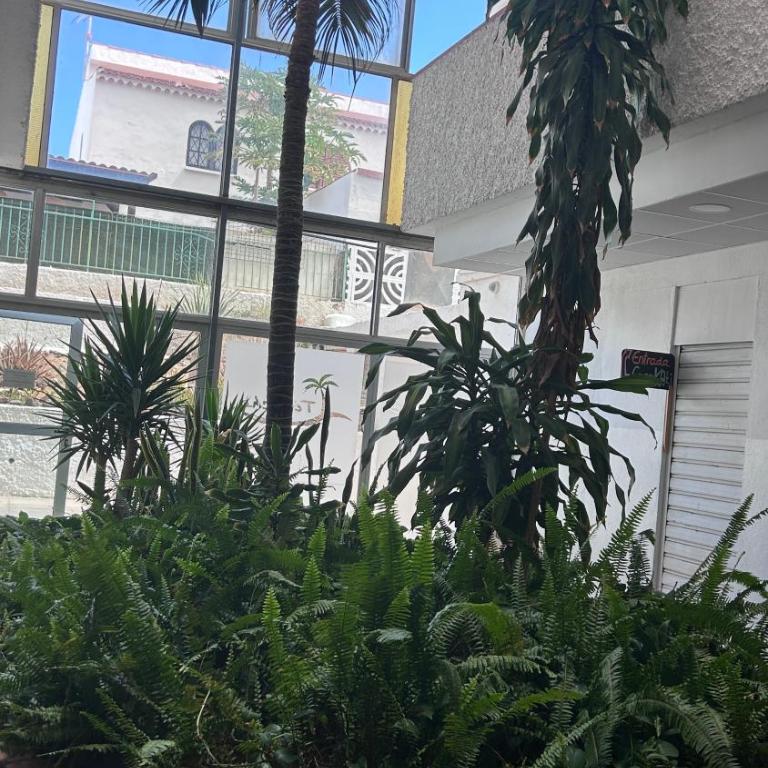 Sunny Central near Yumbo and Dunes - One-Bedroom Apartment - 10