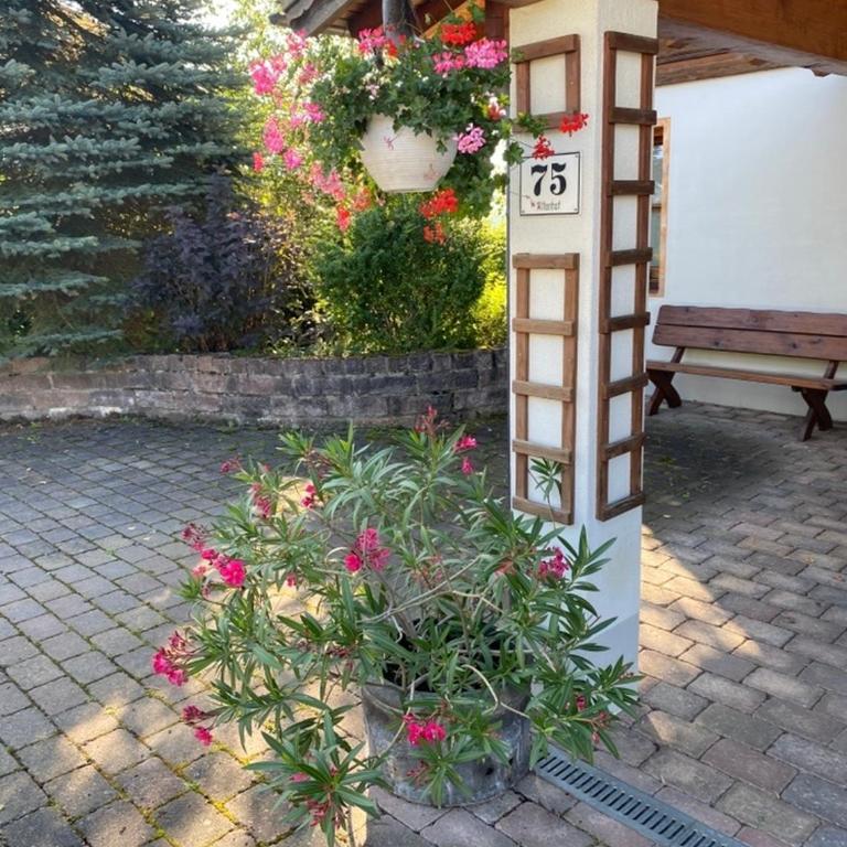 Ferienwohnung Alpenrose - Appartement - 5