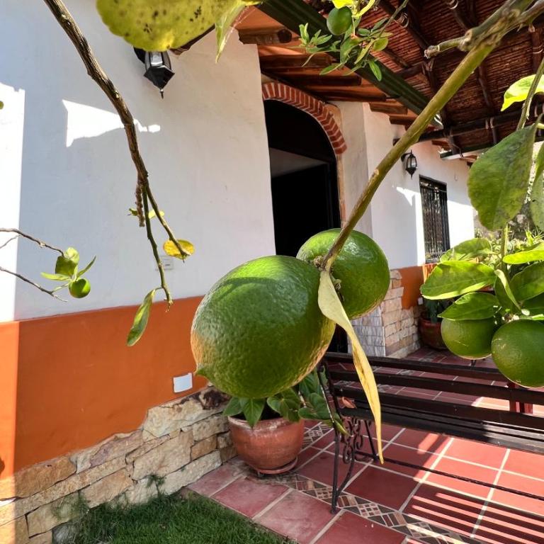 Quintas de Potrillo Reserva - Casa de 6 dormitorios - 17