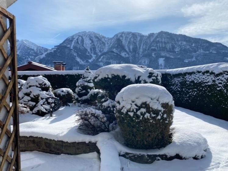 Ferienwohnung Alpenrose - Appartement - 13