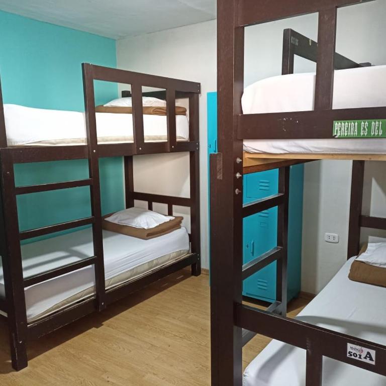 Mango Hostel B&B - Bed in 4-Bed Female Dormitory Room - 3