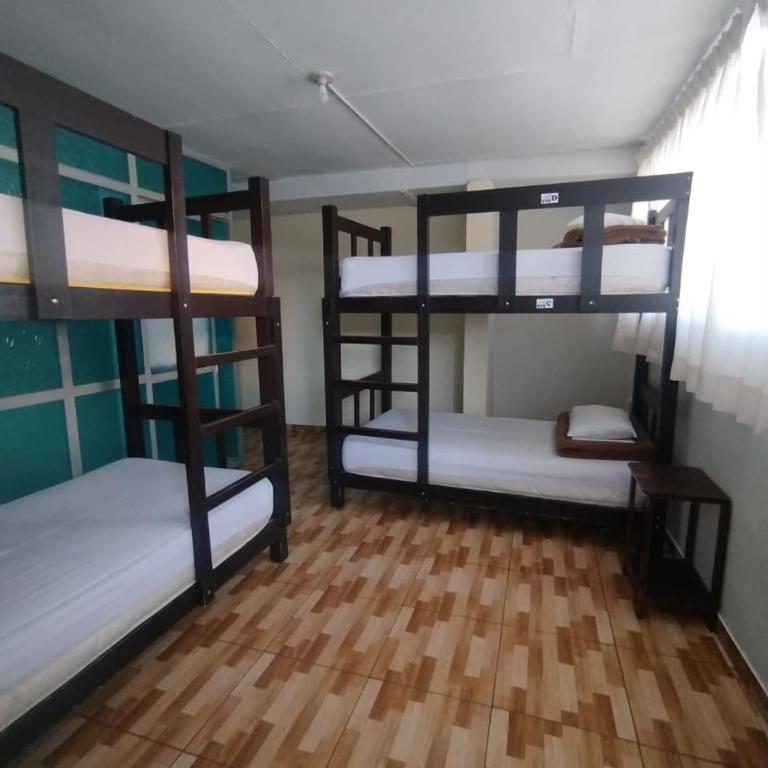 Mango Hostel B&B - Bed in 4-Bed Female Dormitory Room - 4