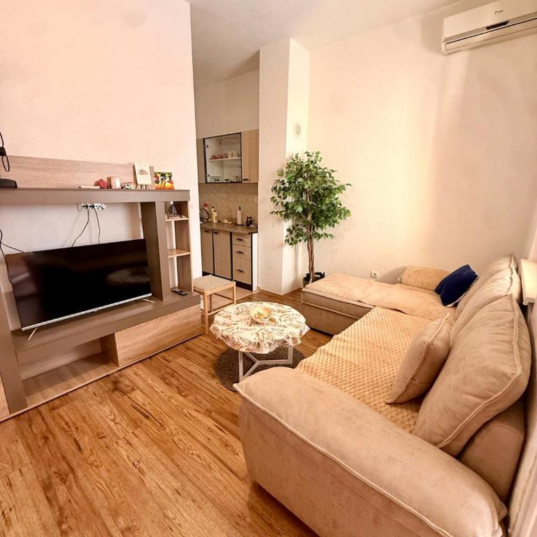 Studio Apartman Promenada - One-Bedroom Apartment - 1