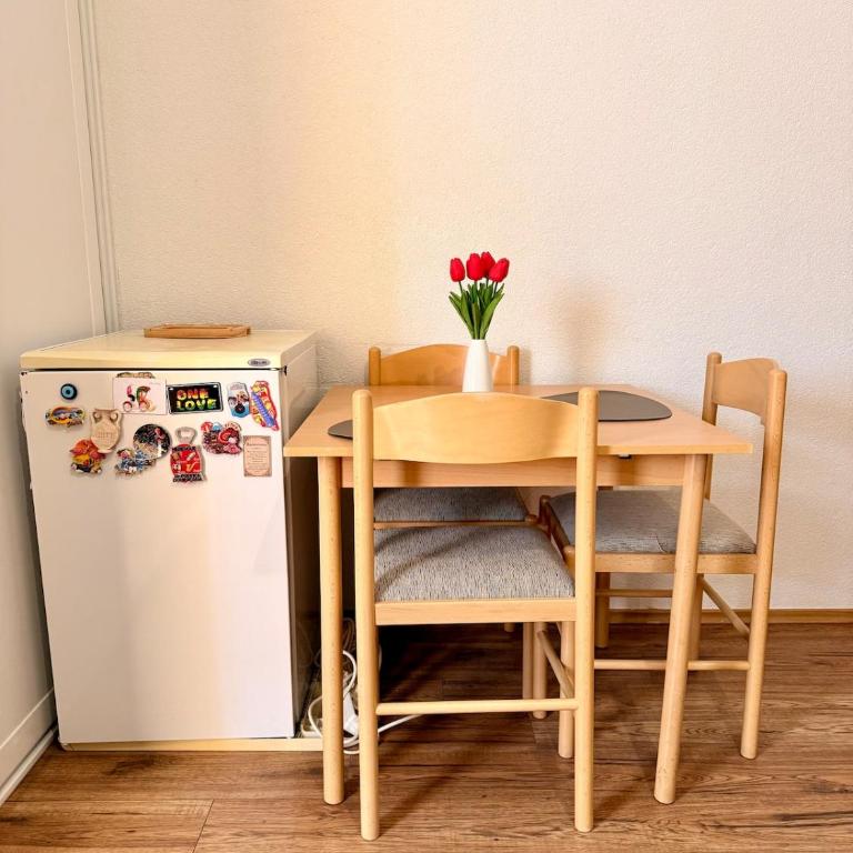 Studio Apartman Promenada - One-Bedroom Apartment - 3