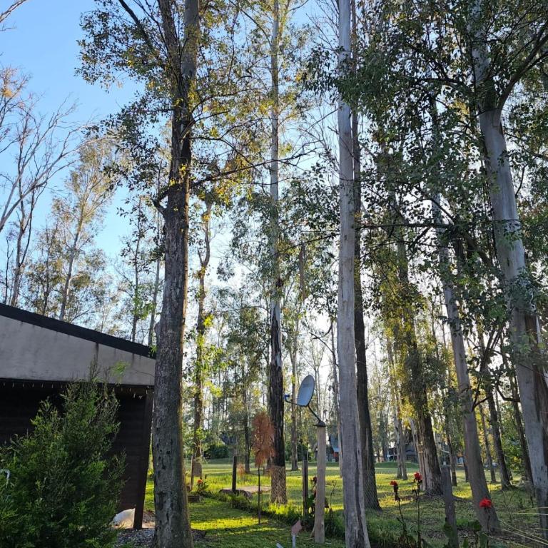 Casa Timbo - Golf - Oliveros - Three-Bedroom House - 11