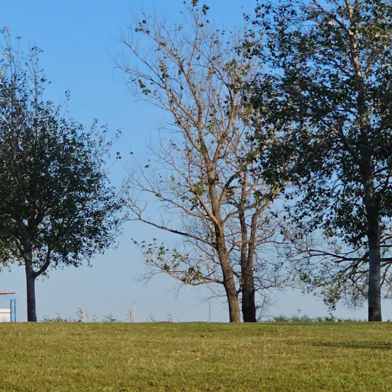 Casa Timbo - Golf - Oliveros - Casa de 3 dormitorios - 13