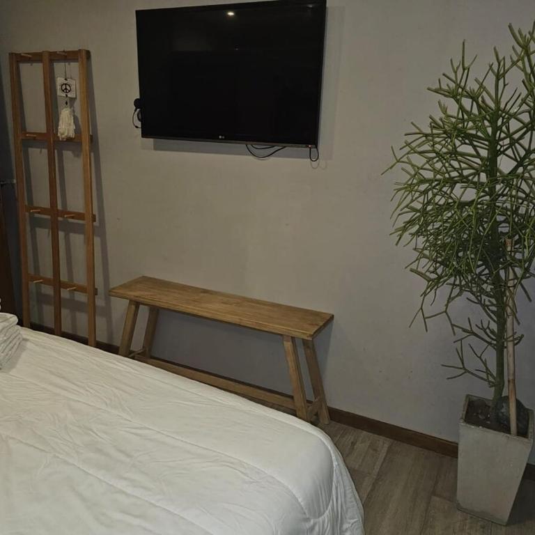 Casa Timbo - Golf - Oliveros - Three-Bedroom House - 23