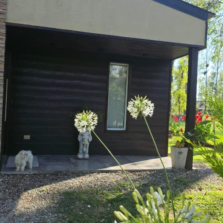 Casa Timbo - Golf - Oliveros - Three-Bedroom House - 90