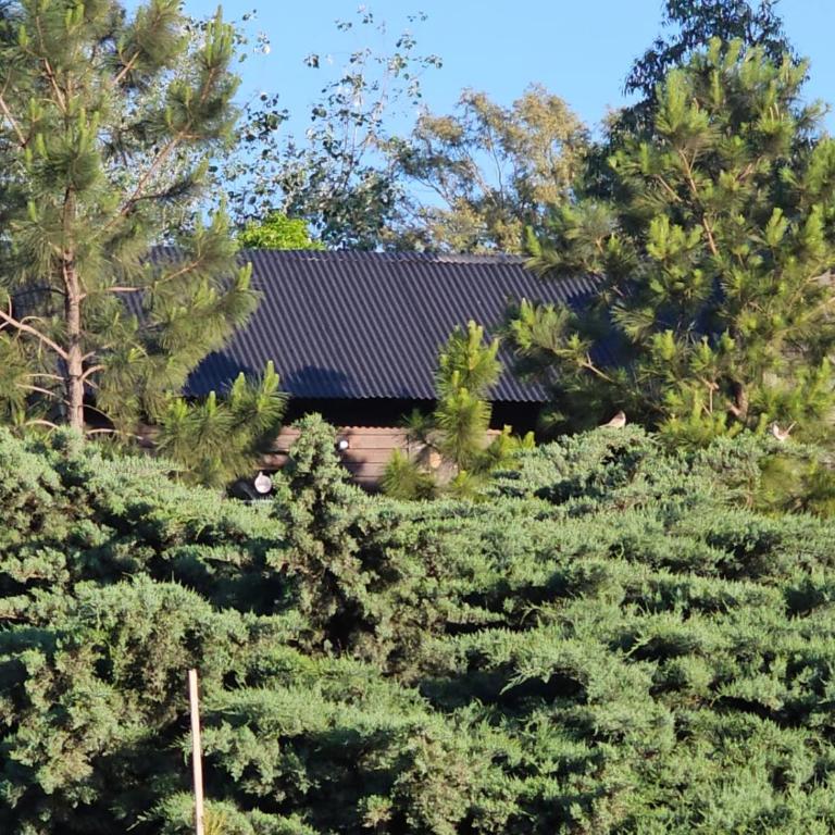 Casa Timbo - Golf - Oliveros - Three-Bedroom House - 91