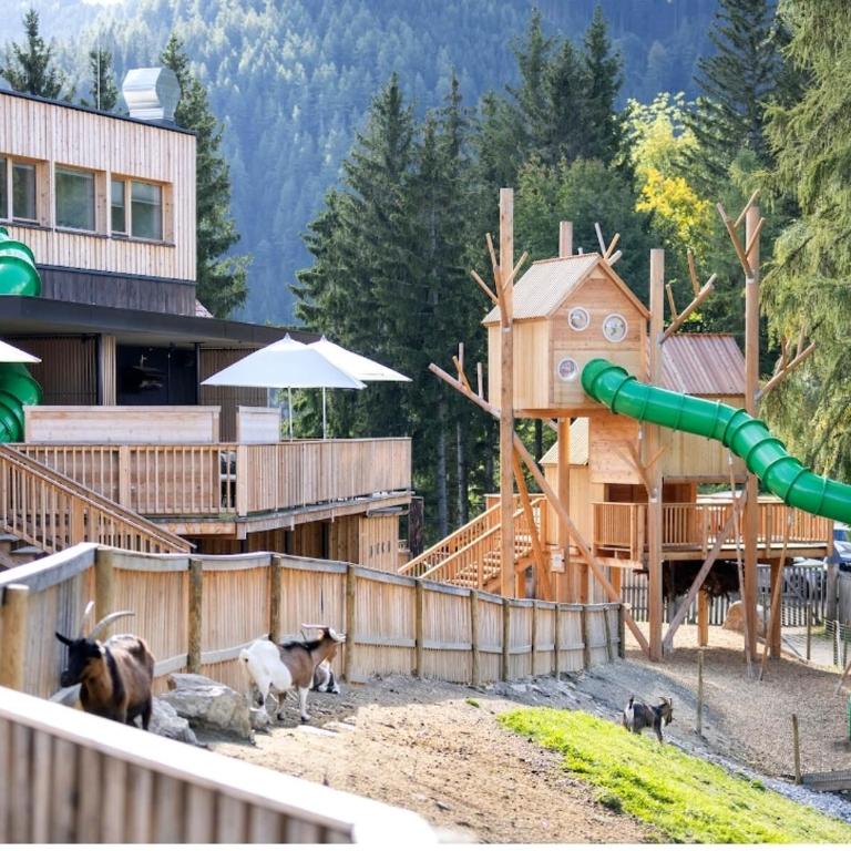 Ferienwohnung Almenland Familie Bruggraber mit 2 Schlafzimmer - Apartment mit 1 Schlafzimmer - 59