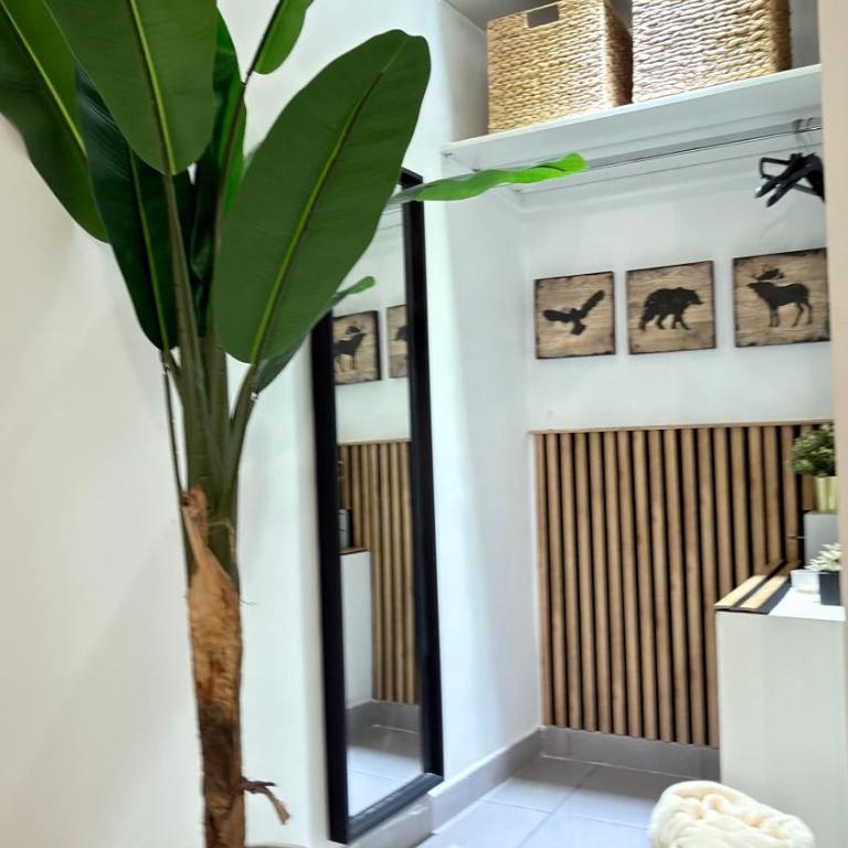 Laetitia guest house116 - Junior Suite con Balcone - 16