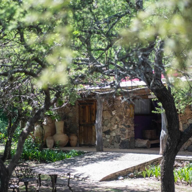 Araoz de Lamadrid Wine Lodge - Superior Double or Twin Room - 12