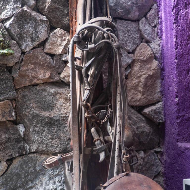 Araoz de Lamadrid Wine Lodge - Superior Double or Twin Room - 22