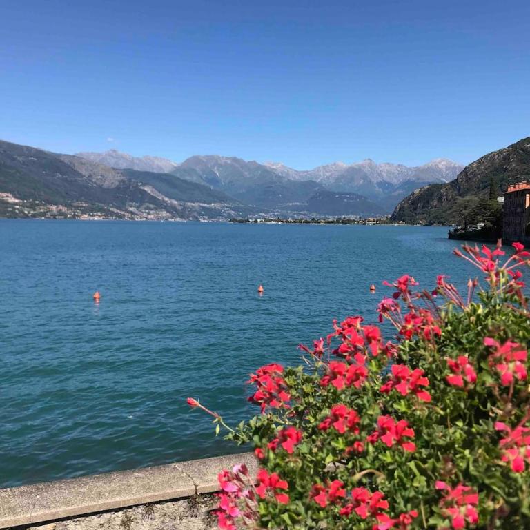 La Splendida, a breathtaking terrace on Lake Como - Appartamento con 1 Camera da Letto - 6