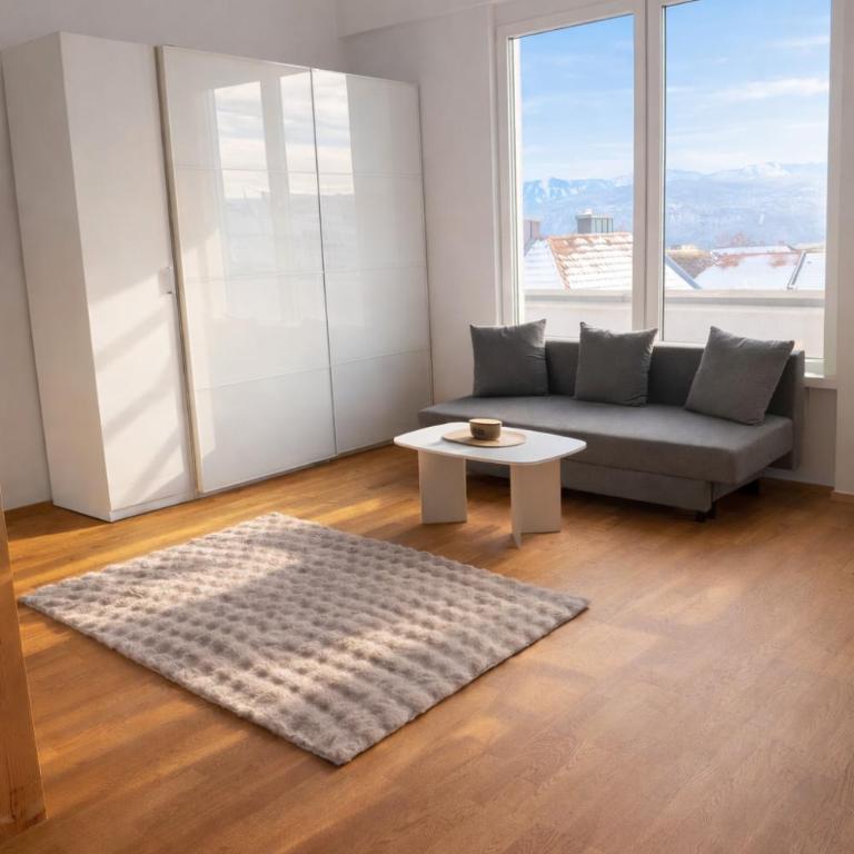 Stadthotel Carinthia - Penthouse-Apartment - 20