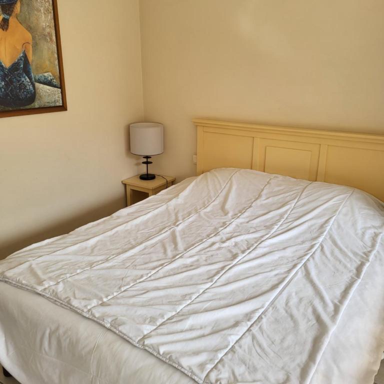 Heliotel Marine plages piscines tennis terrasse jardin - Appartement 2 Chambres - 14