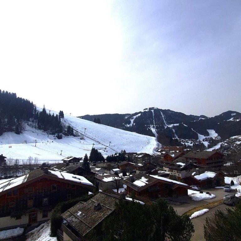 Appartement T3 à La Clusaz, proche pistes, parking et Wi-Fi, pour 6 personnes - FR-1-459-246 - Apartamento - 18