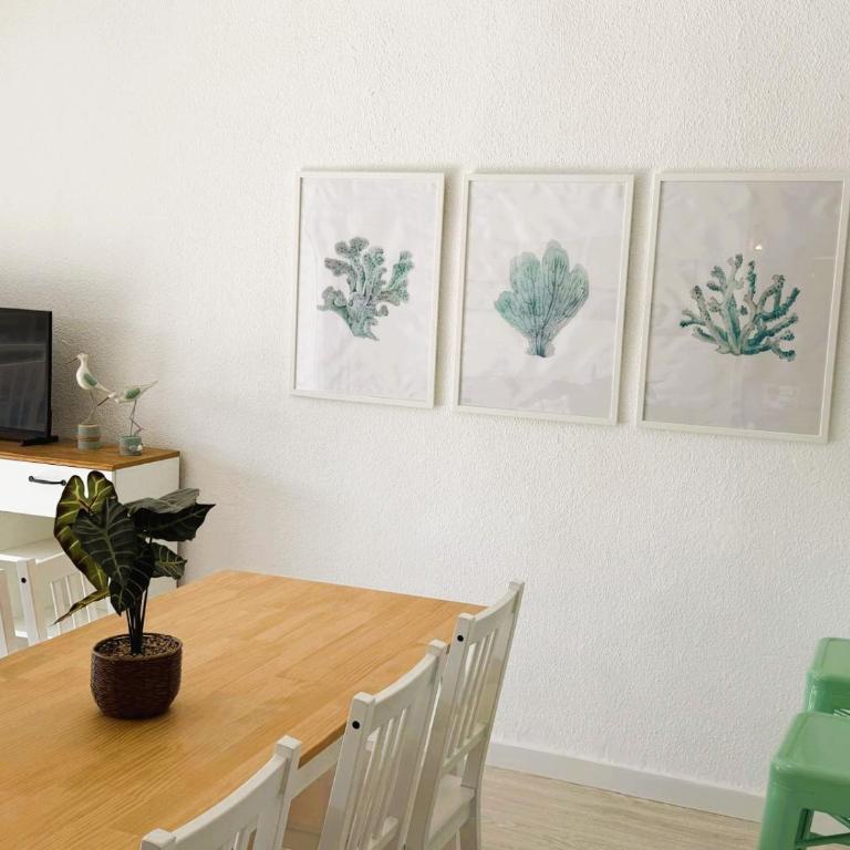 Apartamentos Santa Rosa Palmyra - Apartamento de 2 dormitorios - 18