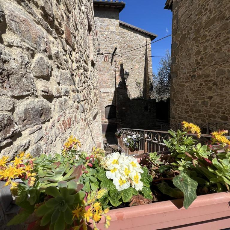 La casina del borgo - Monolocale Nettuno - Appartamento con 1 Camera da Letto - 14