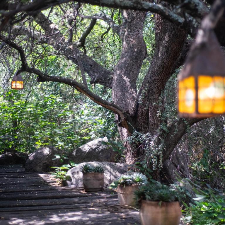 Araoz de Lamadrid Wine Lodge - Superior Double or Twin Room with Garden View - 9