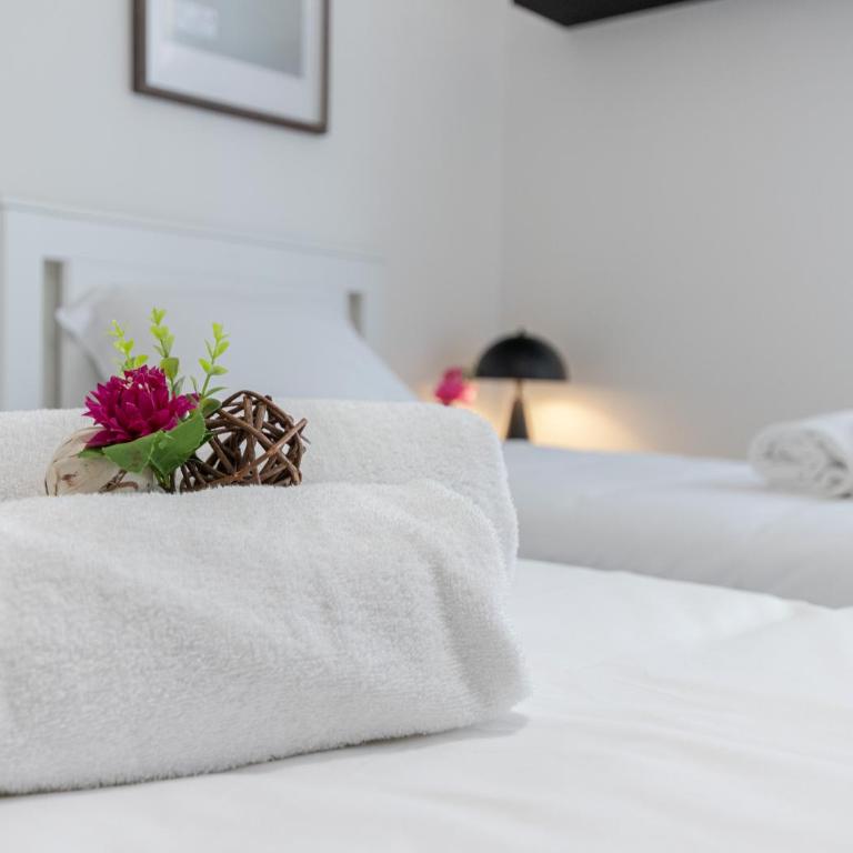 Hostly Bonaini Grand Apartment in Pisa Center - Appartamento Deluxe con 3 Camere da Letto - 29