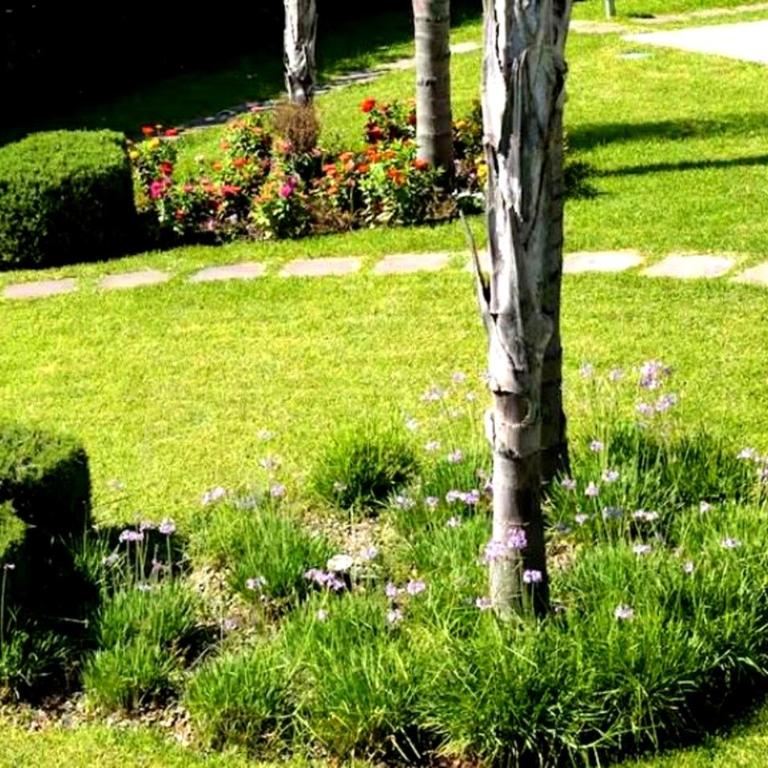 Villa Lucy Eco Friendly - Appartamento con 1 Camera da Letto - 15