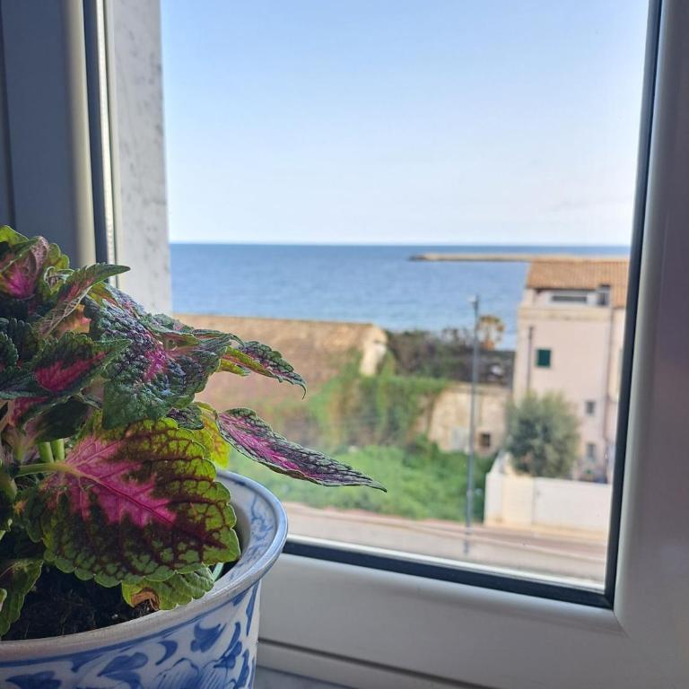 Casetta Dal Professore Vista Mare - Short Rentals - Appartamento con 1 Camera da Letto - 27