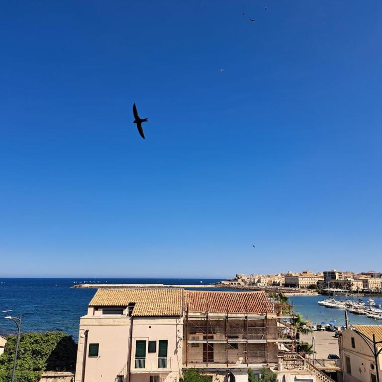 Casetta Dal Professore Vista Mare - Short Rentals - Appartamento con 1 Camera da Letto - 21