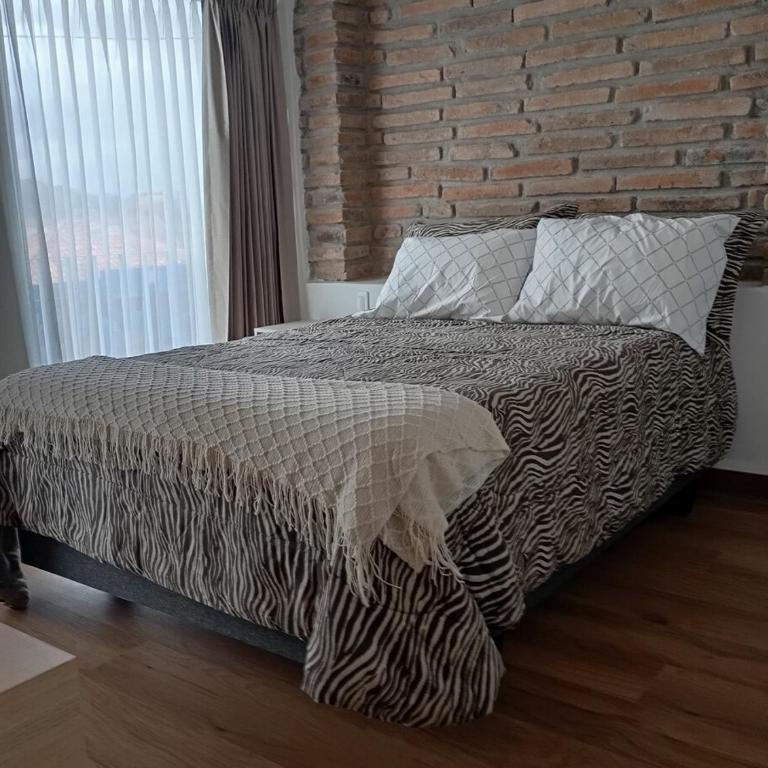 Suite cómoda Centro Histórico Calle Larga - Apartamento de 1 dormitorio - 4