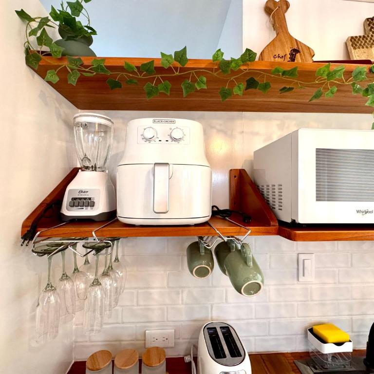 BoHo Galapagos - One-Bedroom Apartment - 6