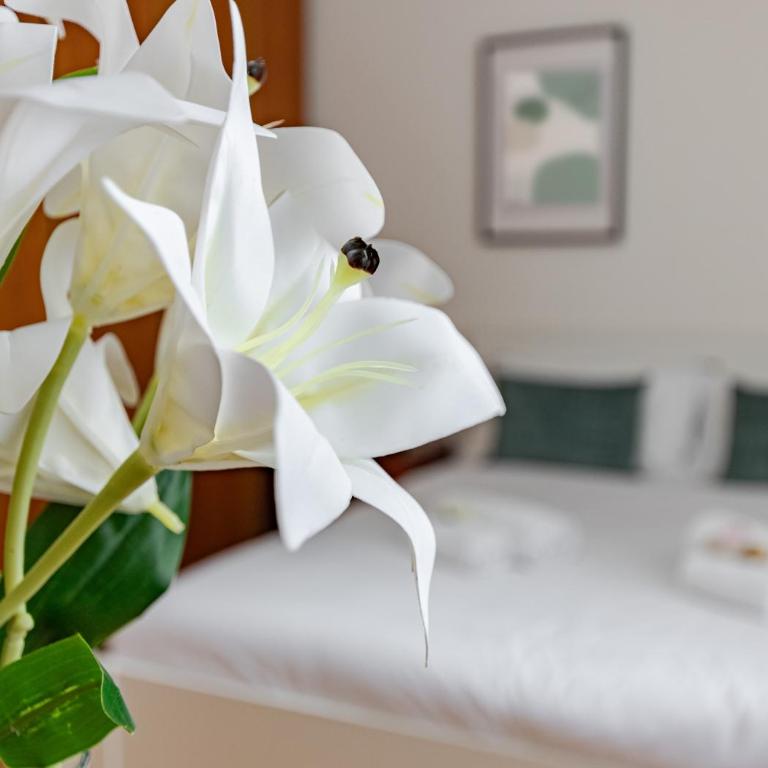 Hostly Bonaini Grand Apartment in Pisa Center - Appartamento Deluxe con 3 Camere da Letto - 33