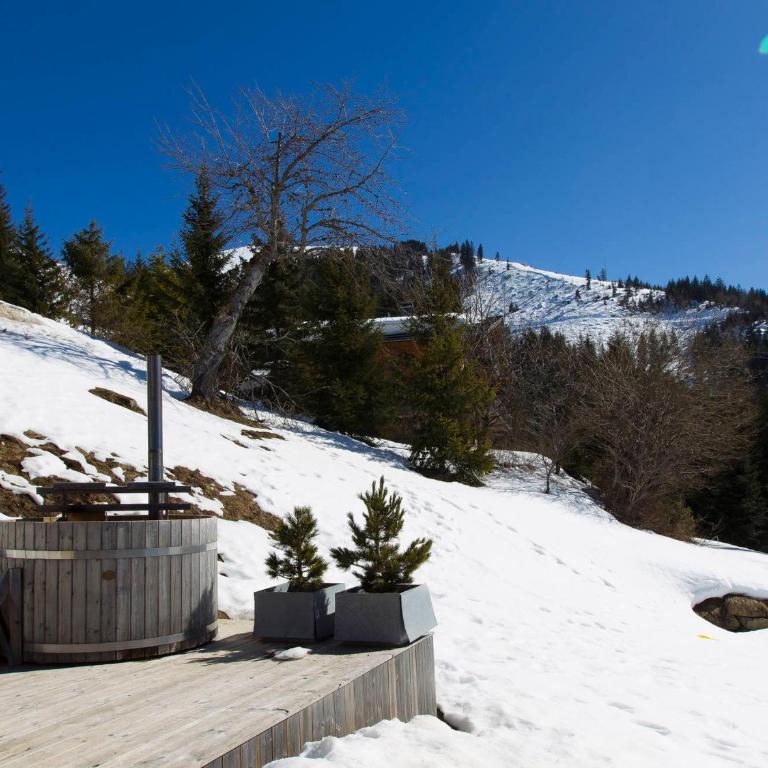 Chalet 5 chambres, Sauna, Bain Norvégien, Wifi, 12 pers. à La Clusaz - FR-1-437-57 - Chalet (12 Adults) - 14