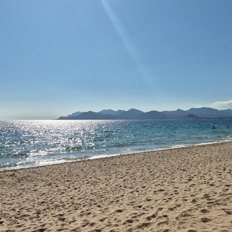 Cannes Francia - Vue mer - Piscine - Clim - Parking - Apartment mit 1 Schlafzimmer - 27