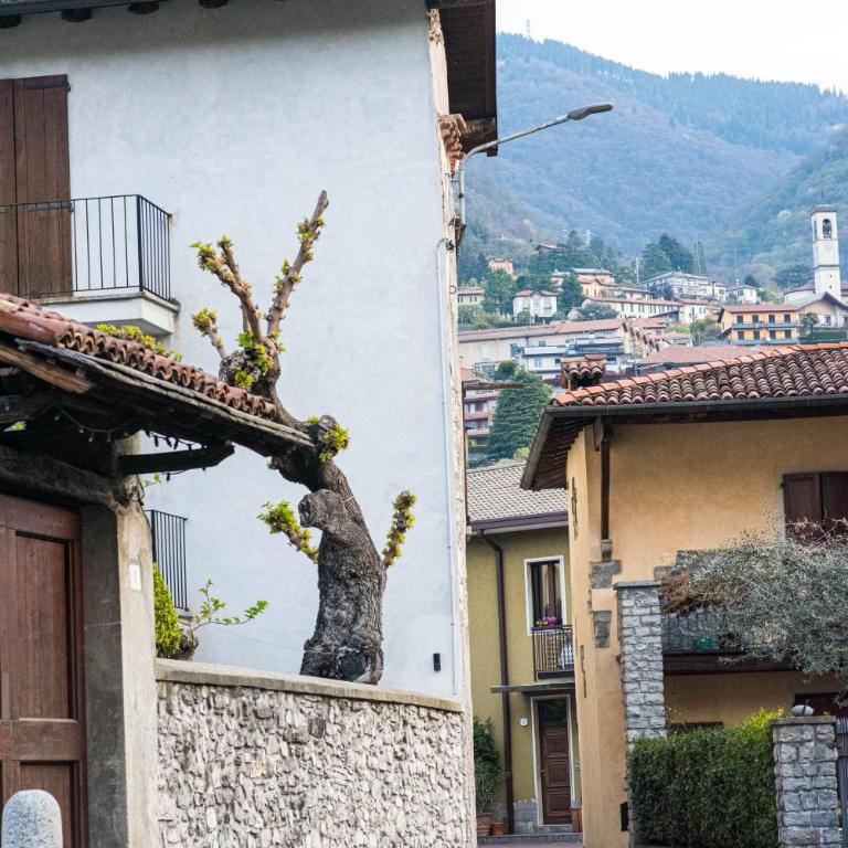 Cadepulan - Lake Como Residence - One-Bedroom Apartment - 6