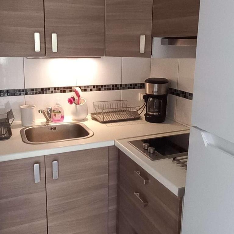 Appartement 2 pièces accès direct plage, animaux acceptés, parking - FR-1-387-193 - Appartement - 7