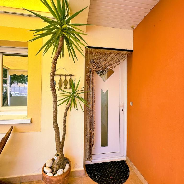 Mediterranean Garden - Maison 2 Chambres - 32