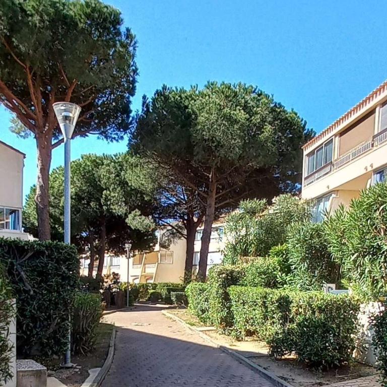 T2 au cœur de Marseillan Plage avec terrasse, parking privé, proche commodités et animaux acceptés - FR-1-387-202 - Appartement - 12