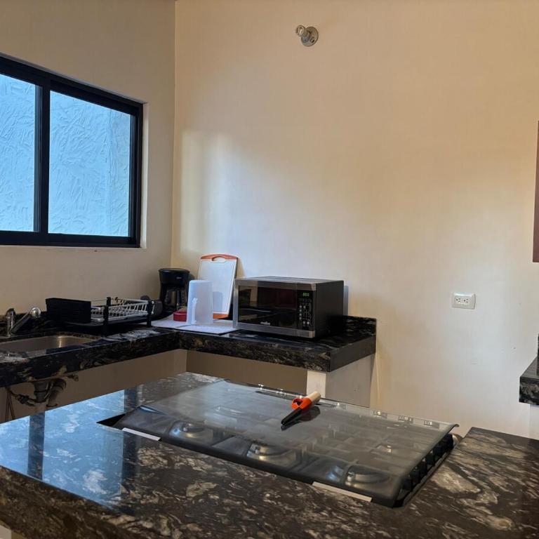 Torote Suit - Spacious apartment with garden - Apartamento de 1 dormitorio con jardín - 5