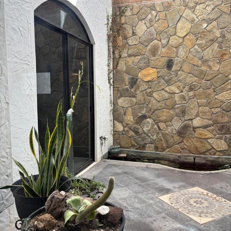 Torote Suit - Spacious apartment with garden - Apartamento de 1 dormitorio con jardín - 11