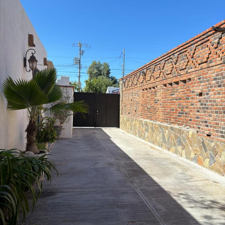 Torote Suit - Spacious apartment with garden - Apartamento de 1 dormitorio con jardín - 14