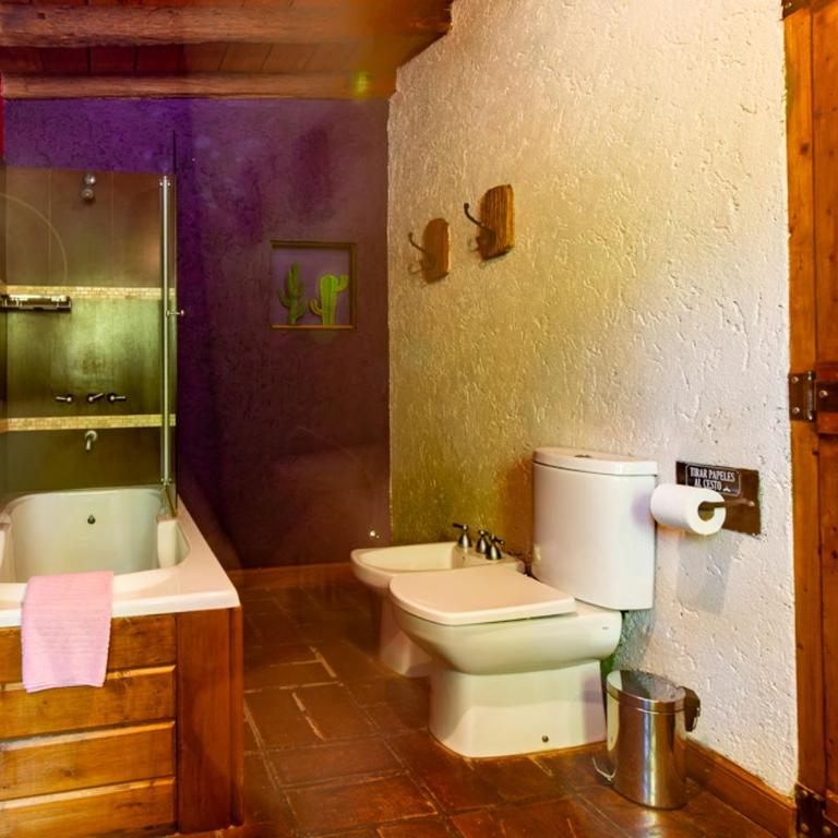 Araoz de Lamadrid Wine Lodge - Double or Twin Room with Mountain View - 4