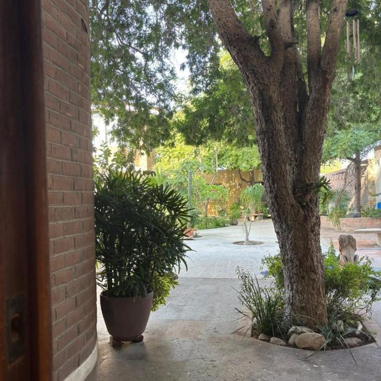 Torote Suit - Spacious apartment with garden - Apartamento de 1 dormitorio con jardín - 18