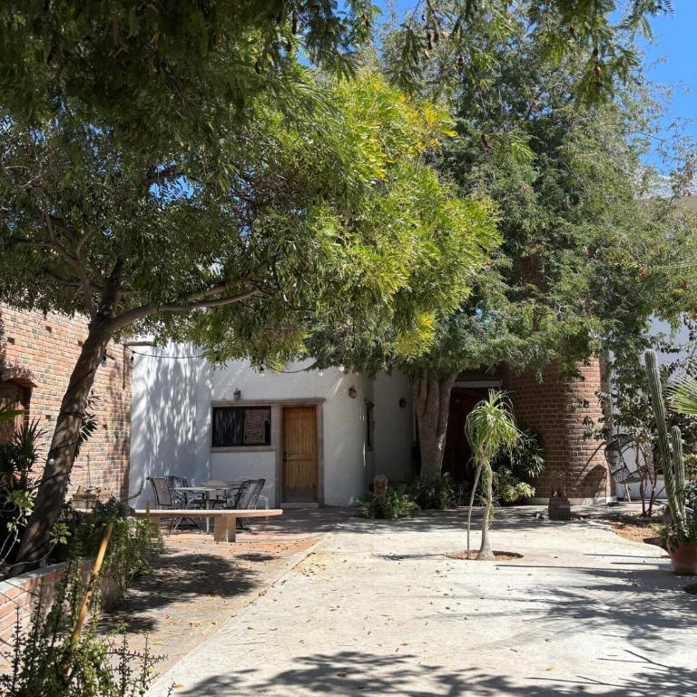 Torote Suit - Spacious apartment with garden - Apartamento de 1 dormitorio con jardín - 19