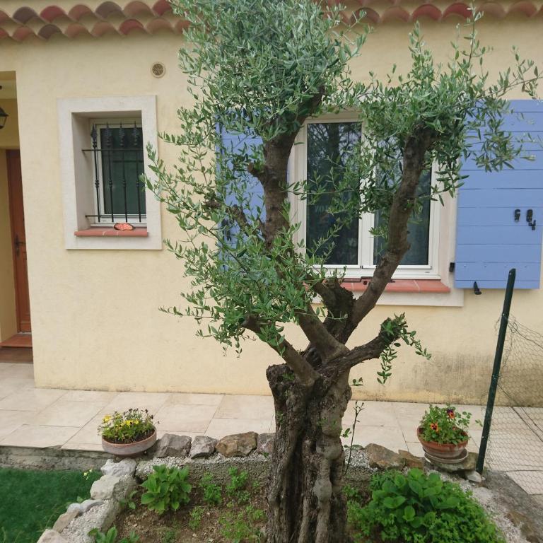 Le Mas des Oliviers - Villa avec Piscine Privée - 21