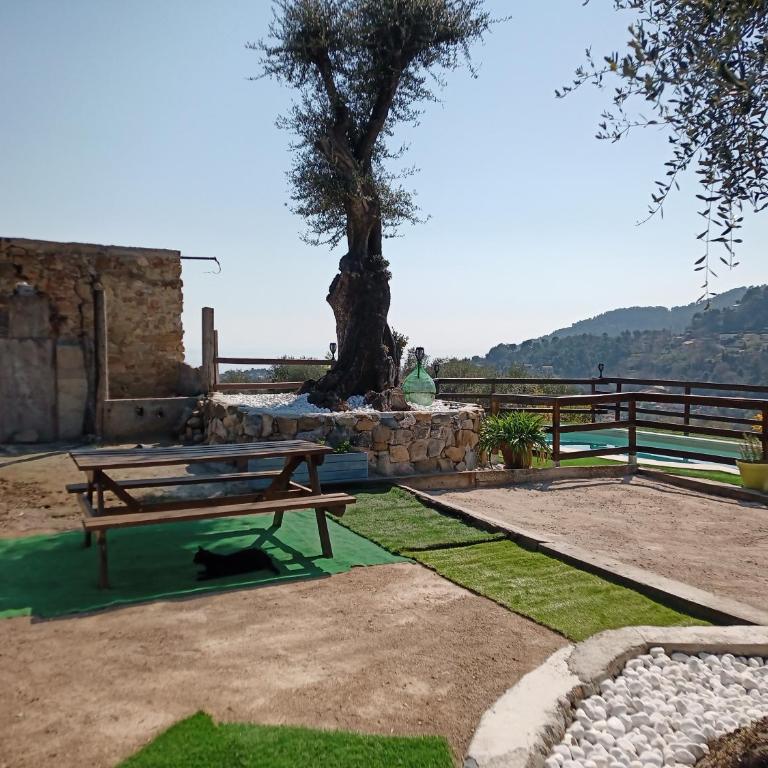 Le Mas des Oliviers - Villa avec Piscine Privée - 17