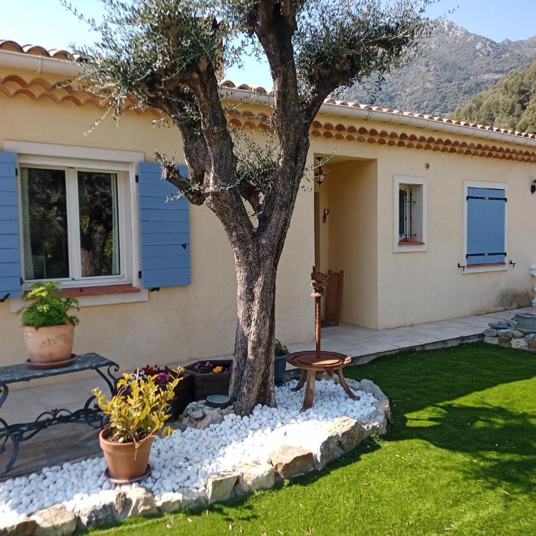 Le Mas des Oliviers - Villa avec Piscine Privée - 22