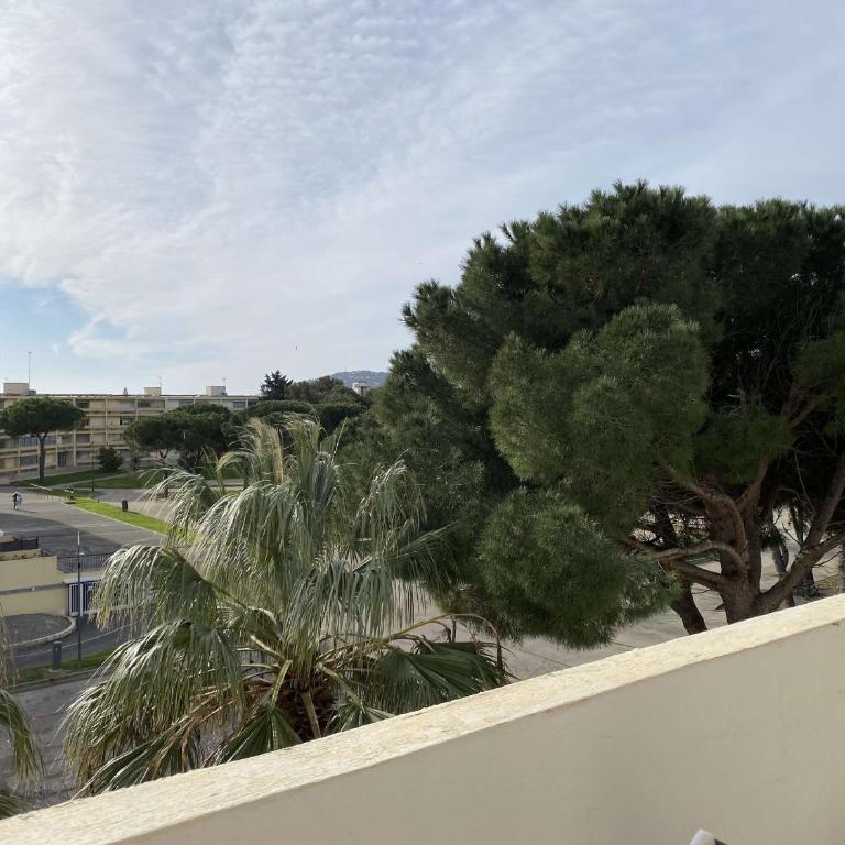 Studio 2 places avec climatisation et wifi à Balaruc-les-Bains - FR-1-553-111 - Studio - 10