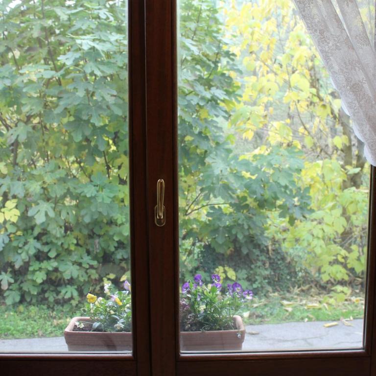 BoscoBo - Relax & Natura - Studio - 13